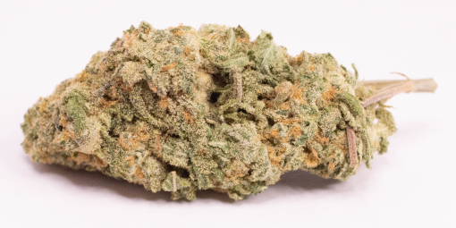 Online Dispensary Canada - Girl Scout Cookies Single