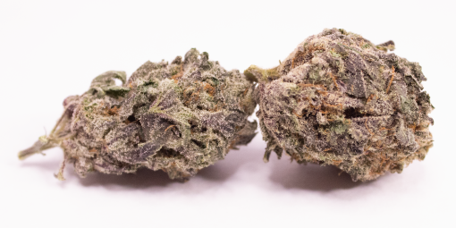 Online Dispensary Canada - Blue Zombie Double