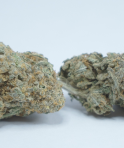 Online Dispensary Canada - Chocolope Double