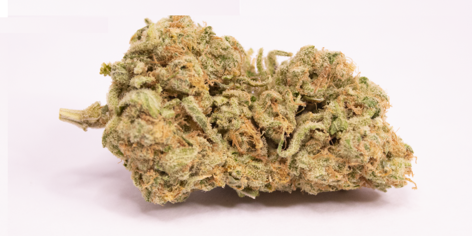Zombie OG Kush Weedsy.ca