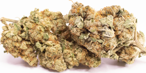 Online Dispensary Canada - Star Cookie Double