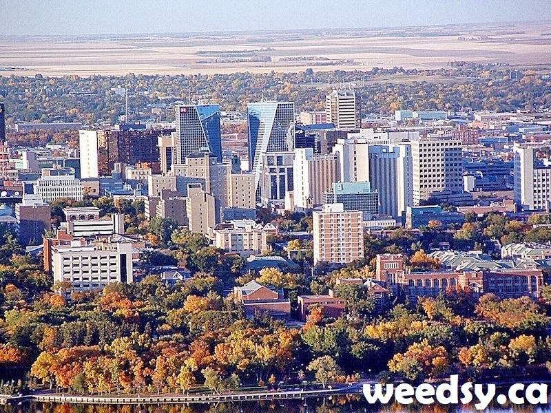 Regina Dispensary Locations